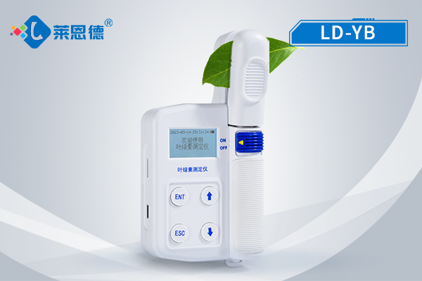 葉綠素檢測儀的實(shí)用意義：及時(shí)掌握綠素、葉面溫度等數(shù)據(jù)