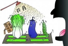 農(nóng)藥殘留快速檢測儀保障農(nóng)產(chǎn)品安全 農(nóng)藥殘留快速檢測儀保障農(nóng)產(chǎn)品安全