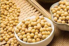 便攜式蔬菜農(nóng)藥檢測儀檢測大豆農(nóng)殘 便攜式蔬菜農(nóng)藥檢測儀檢測大豆農(nóng)殘