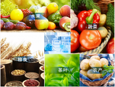 觸摸屏農(nóng)藥殘留檢測儀哪個品牌好 觸摸屏農(nóng)藥殘留檢測儀哪個品牌好