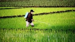 便攜式農(nóng)殘儀使用說(shuō)明書(shū) 便攜式農(nóng)殘儀使用說(shuō)明書(shū)