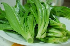 蔬菜農(nóng)藥檢測儀哪里買 蔬菜農(nóng)藥檢測儀哪里買