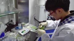 食品安全快速檢測(cè)儀器怎么用 食品安全快速檢測(cè)儀器怎么用
